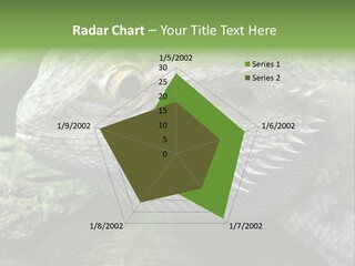 Close Up Of Bearded Dragon Reptile PowerPoint Template