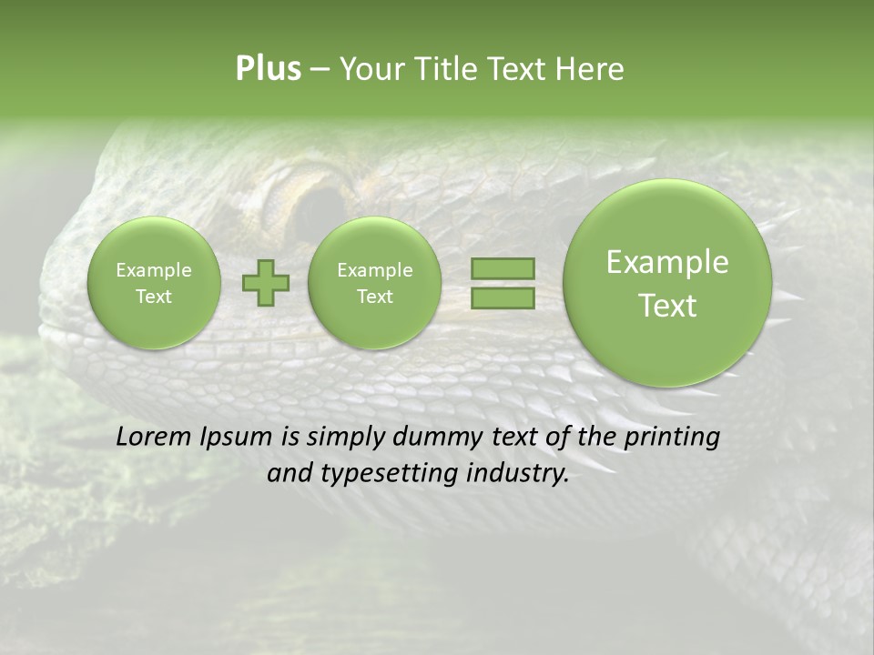 Close Up Of Bearded Dragon Reptile PowerPoint Template