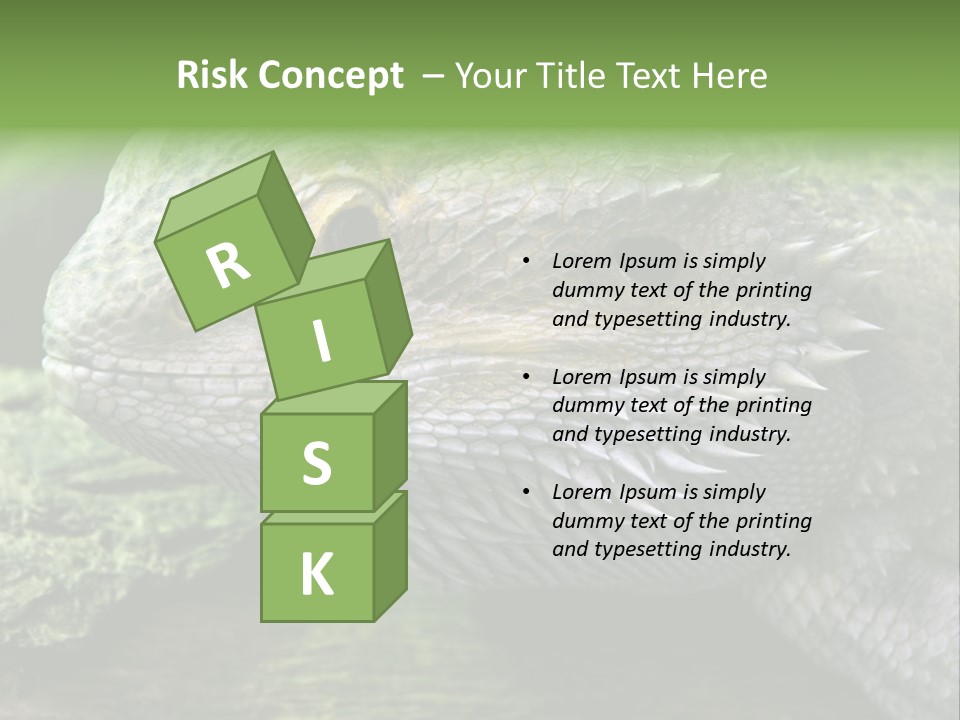 Close Up Of Bearded Dragon Reptile PowerPoint Template