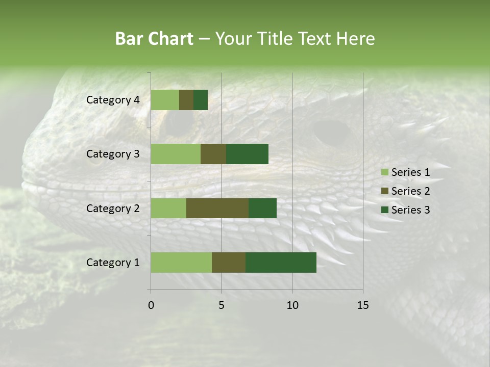 Close Up Of Bearded Dragon Reptile PowerPoint Template