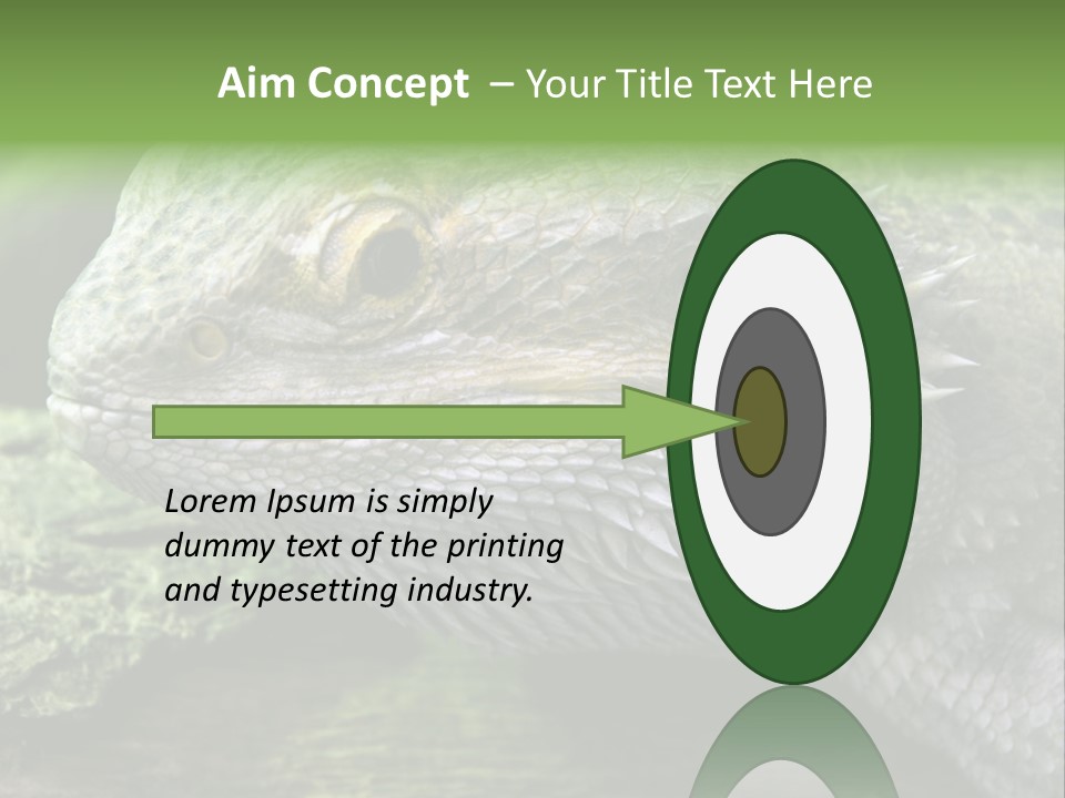 Close Up Of Bearded Dragon Reptile PowerPoint Template
