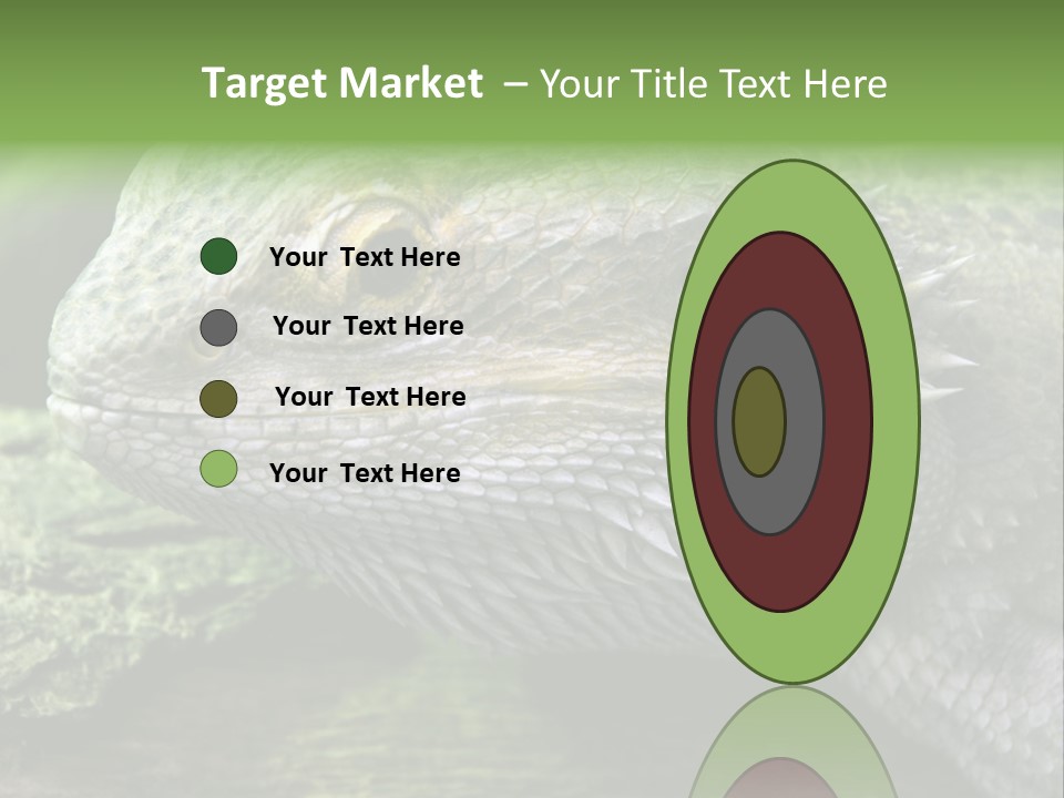 Close Up Of Bearded Dragon Reptile PowerPoint Template