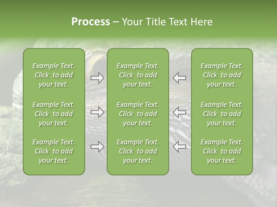 Close Up Of Bearded Dragon Reptile PowerPoint Template