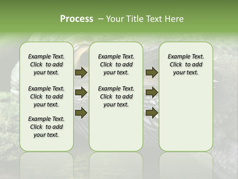 Close Up Of Bearded Dragon Reptile PowerPoint Template