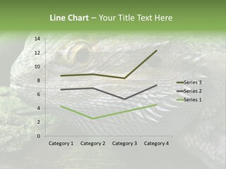 Close Up Of Bearded Dragon Reptile PowerPoint Template