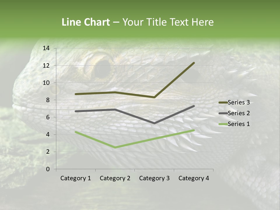Close Up Of Bearded Dragon Reptile PowerPoint Template