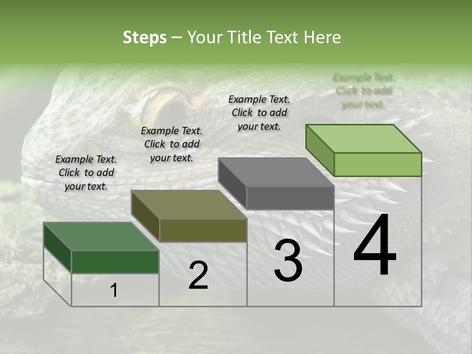 Close Up Of Bearded Dragon Reptile PowerPoint Template
