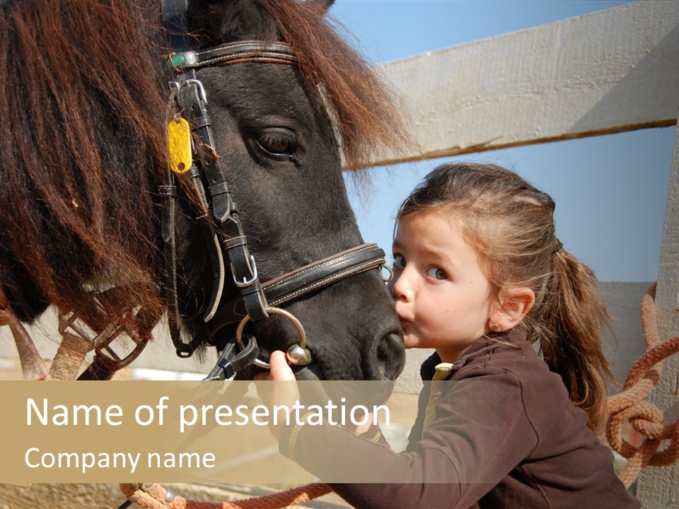 Little Girl Kissing And Her Purebred Shetland Pony PowerPoint Template