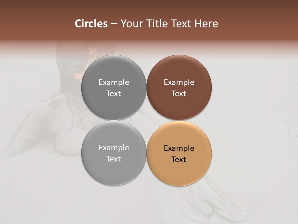 Mud Treatment PowerPoint Template