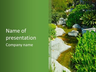 A Green And White Landscape With Rocks And Plants PowerPoint Template