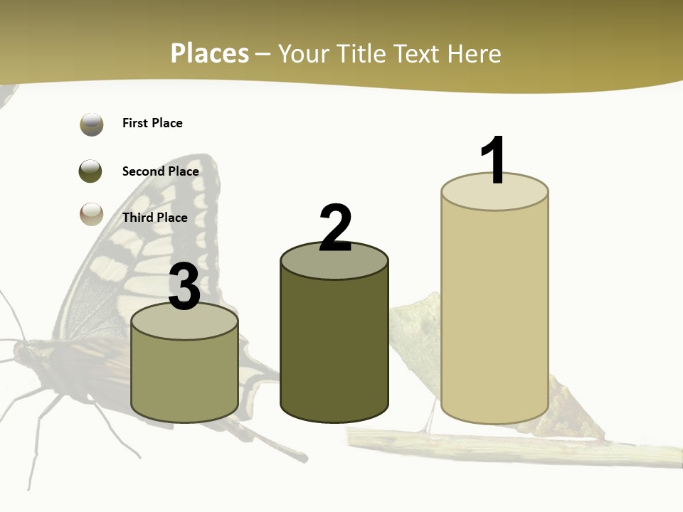 Metamorphosis (Life Cycle) Of The Swallowtail (Papilio Machaon). 3 Different Instars (Stages). PowerPoint Template