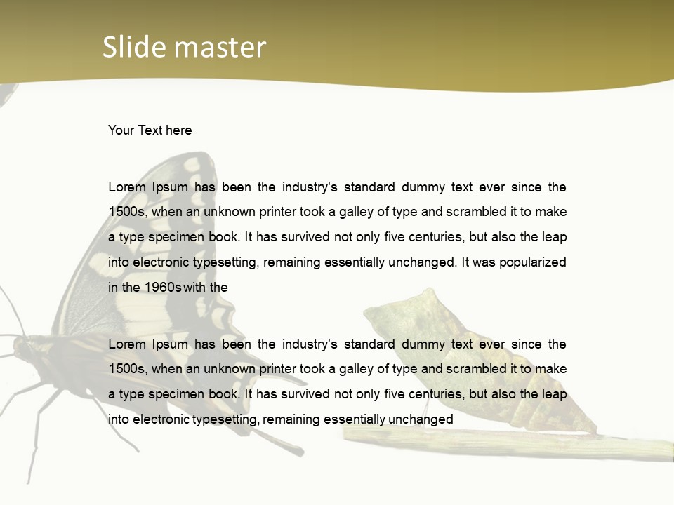 Metamorphosis (Life Cycle) Of The Swallowtail (Papilio Machaon). 3 Different Instars (Stages). PowerPoint Template
