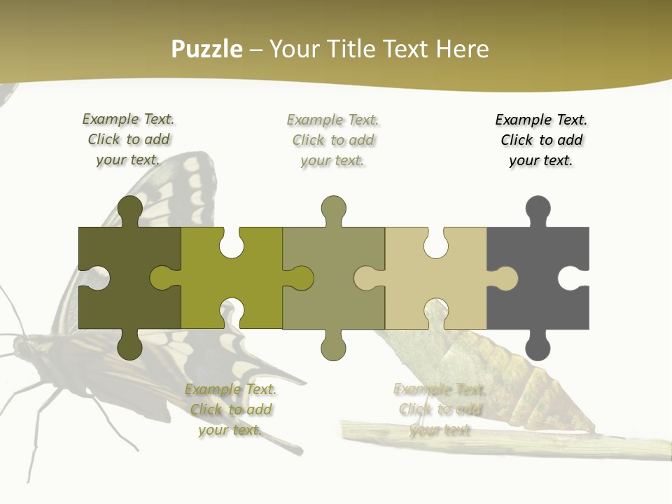 Metamorphosis (Life Cycle) Of The Swallowtail (Papilio Machaon). 3 Different Instars (Stages). PowerPoint Template