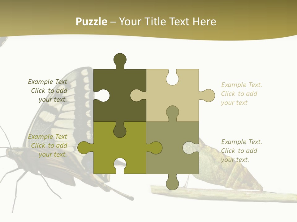 Metamorphosis (Life Cycle) Of The Swallowtail (Papilio Machaon). 3 Different Instars (Stages). PowerPoint Template