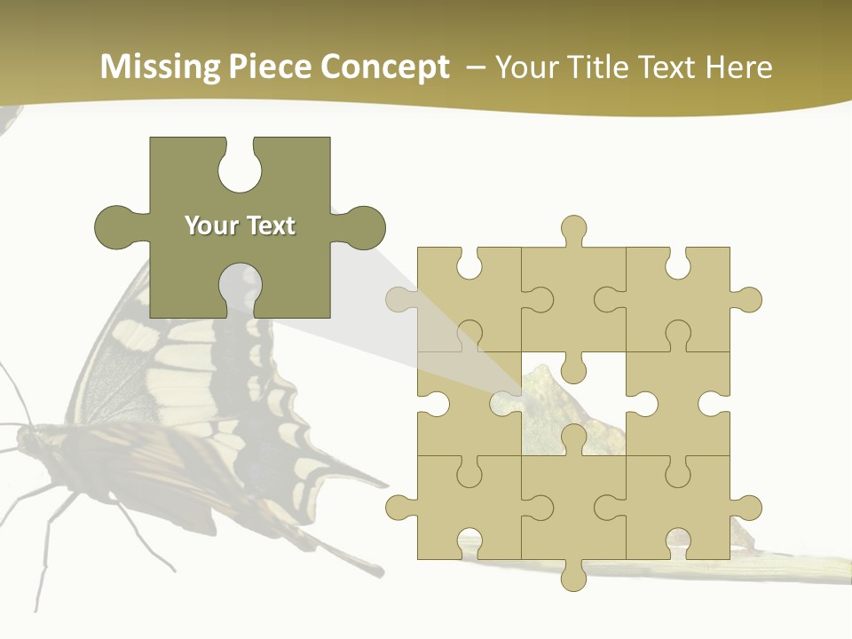 Metamorphosis (Life Cycle) Of The Swallowtail (Papilio Machaon). 3 Different Instars (Stages). PowerPoint Template