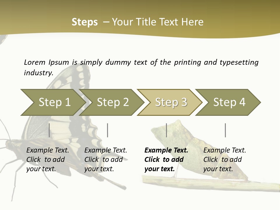 Metamorphosis (Life Cycle) Of The Swallowtail (Papilio Machaon). 3 Different Instars (Stages). PowerPoint Template