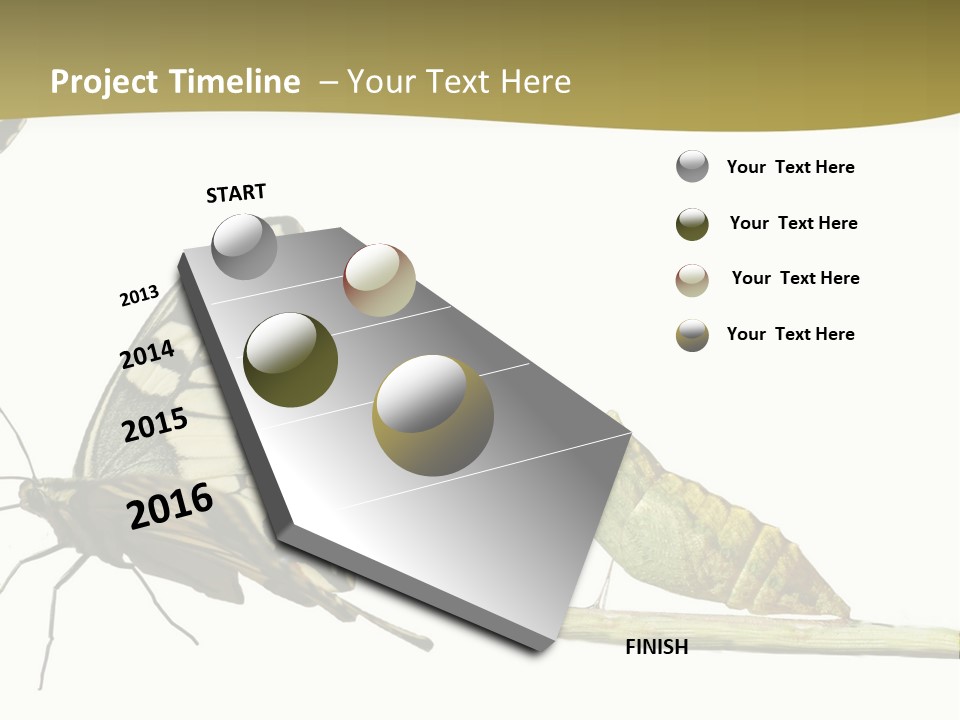 Metamorphosis (Life Cycle) Of The Swallowtail (Papilio Machaon). 3 Different Instars (Stages). PowerPoint Template