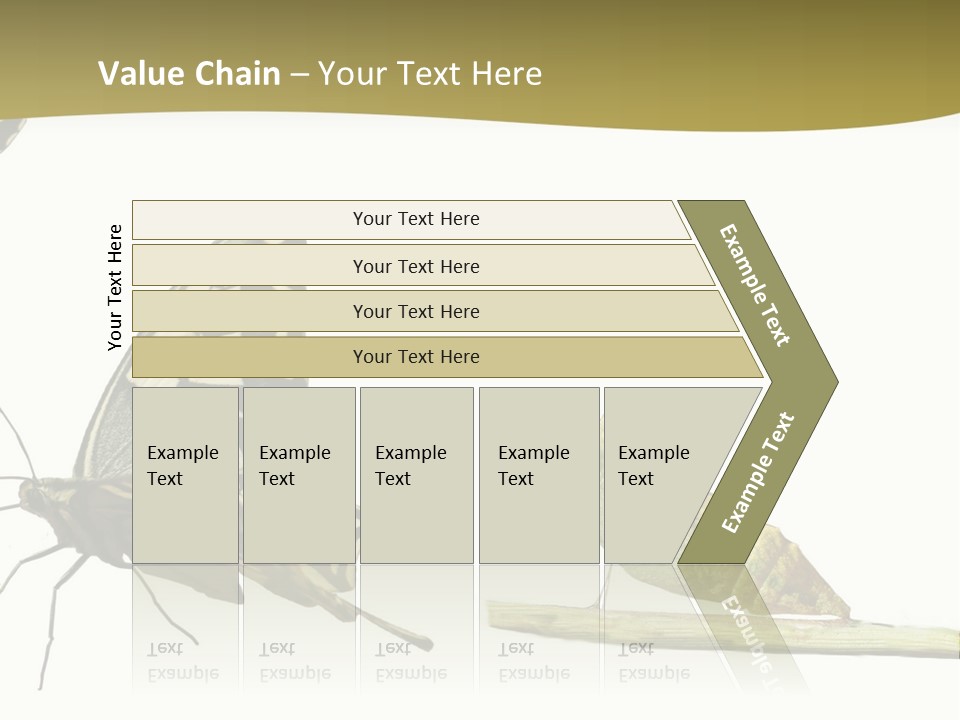 Metamorphosis (Life Cycle) Of The Swallowtail (Papilio Machaon). 3 Different Instars (Stages). PowerPoint Template