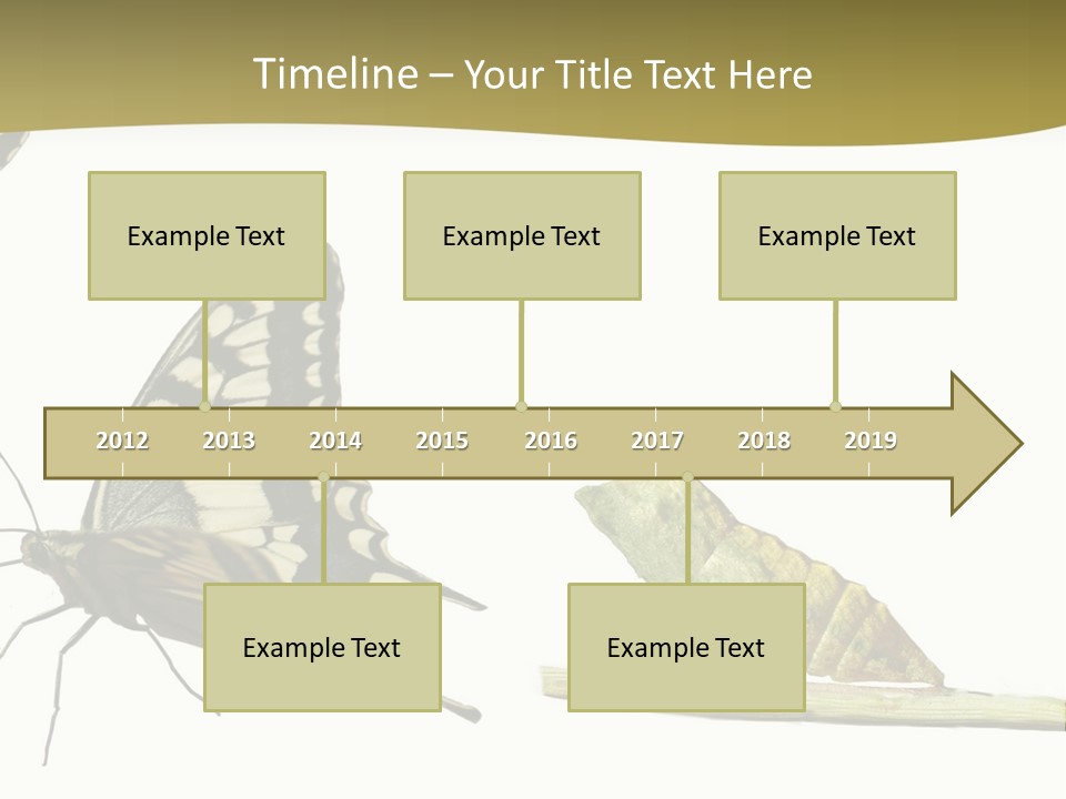 Metamorphosis (Life Cycle) Of The Swallowtail (Papilio Machaon). 3 Different Instars (Stages). PowerPoint Template