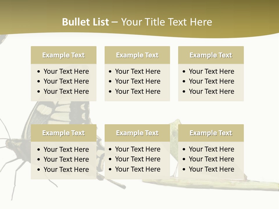 Metamorphosis (Life Cycle) Of The Swallowtail (Papilio Machaon). 3 Different Instars (Stages). PowerPoint Template