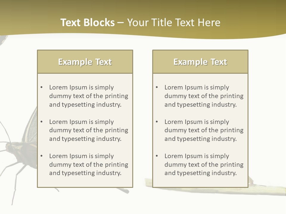 Metamorphosis (Life Cycle) Of The Swallowtail (Papilio Machaon). 3 Different Instars (Stages). PowerPoint Template