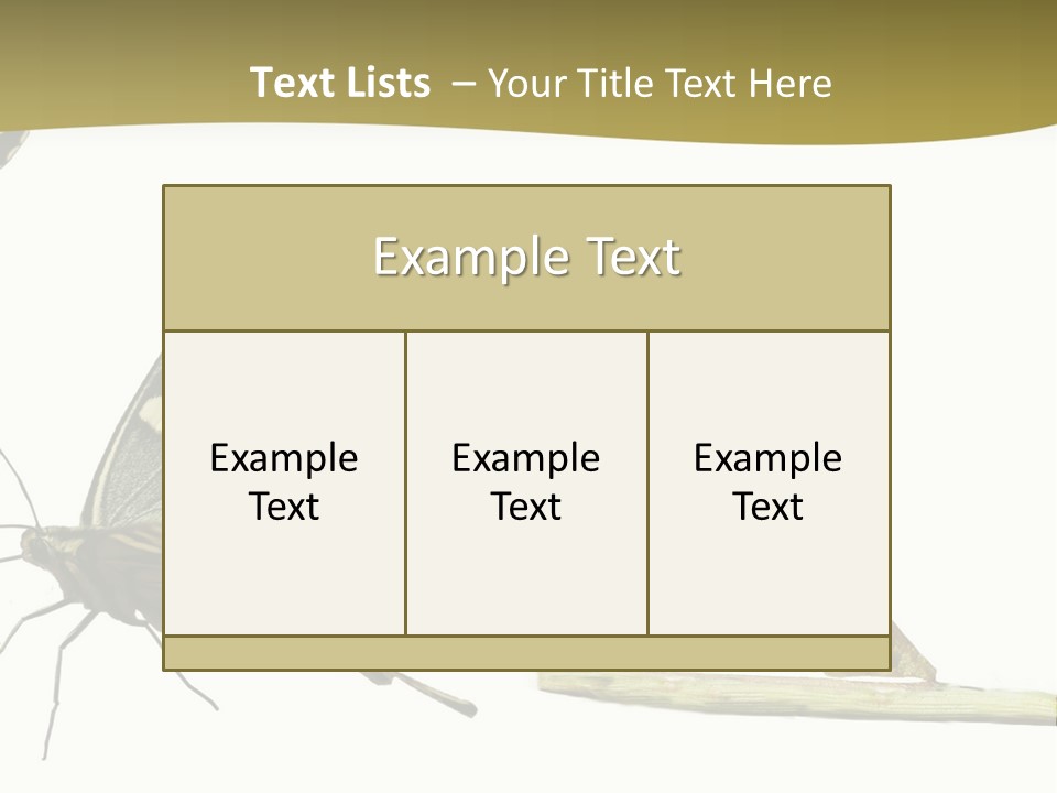 Metamorphosis (Life Cycle) Of The Swallowtail (Papilio Machaon). 3 Different Instars (Stages). PowerPoint Template