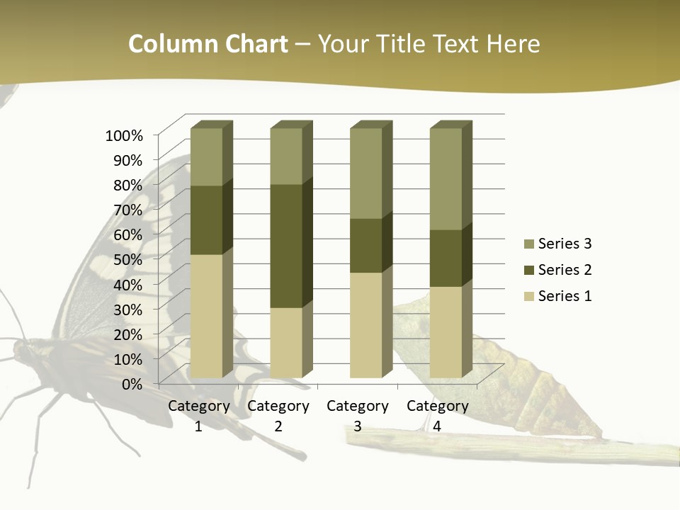 Metamorphosis (Life Cycle) Of The Swallowtail (Papilio Machaon). 3 Different Instars (Stages). PowerPoint Template