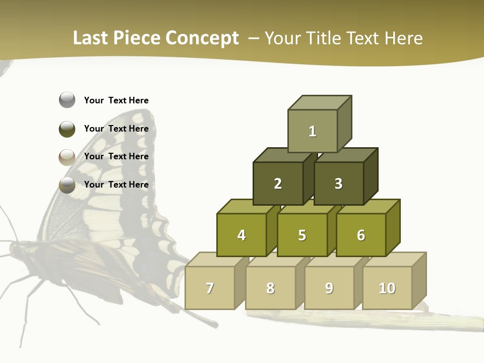 Metamorphosis (Life Cycle) Of The Swallowtail (Papilio Machaon). 3 Different Instars (Stages). PowerPoint Template
