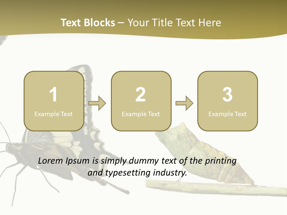 Metamorphosis (Life Cycle) Of The Swallowtail (Papilio Machaon). 3 Different Instars (Stages). PowerPoint Template