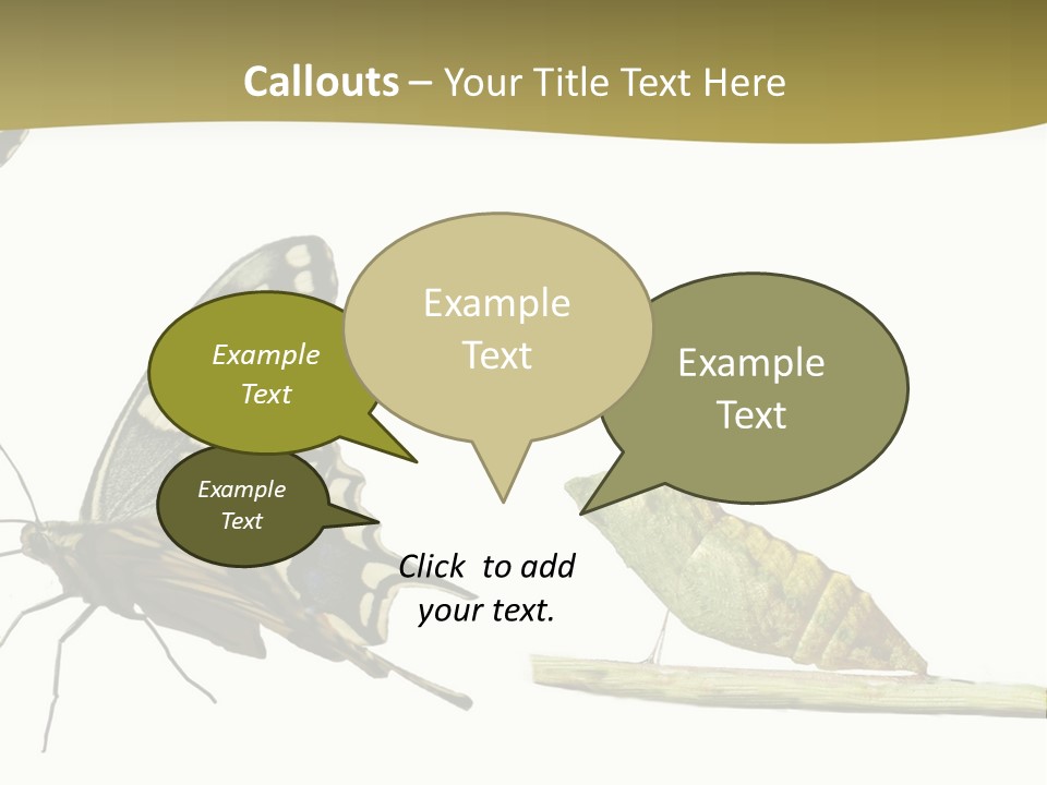 Metamorphosis (Life Cycle) Of The Swallowtail (Papilio Machaon). 3 Different Instars (Stages). PowerPoint Template