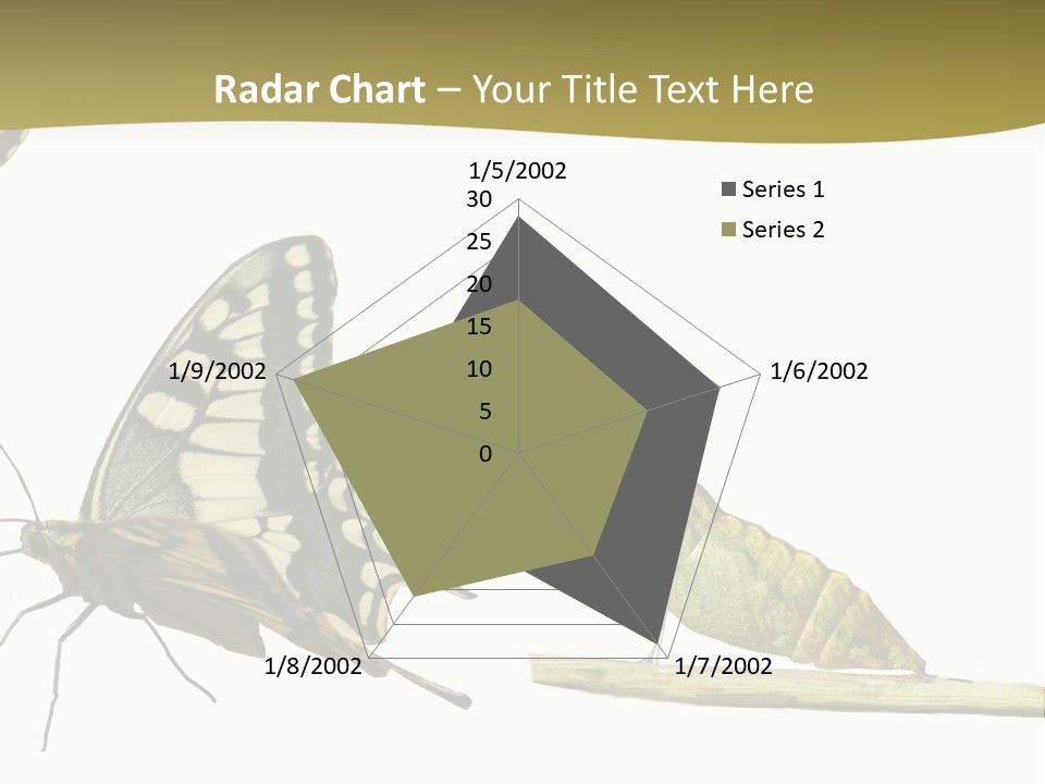 Metamorphosis (Life Cycle) Of The Swallowtail (Papilio Machaon). 3 Different Instars (Stages). PowerPoint Template