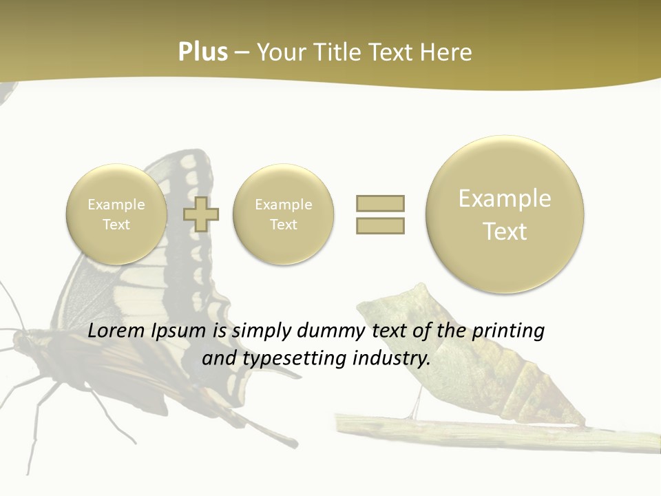 Metamorphosis (Life Cycle) Of The Swallowtail (Papilio Machaon). 3 Different Instars (Stages). PowerPoint Template
