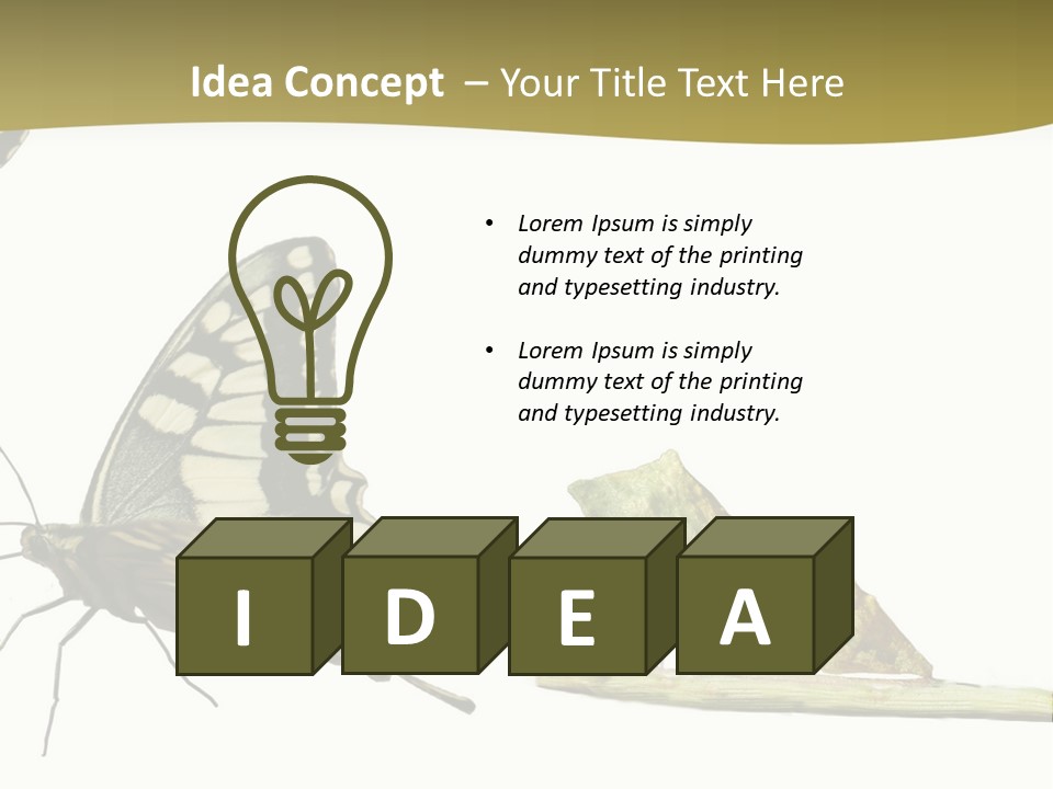 Metamorphosis (Life Cycle) Of The Swallowtail (Papilio Machaon). 3 Different Instars (Stages). PowerPoint Template