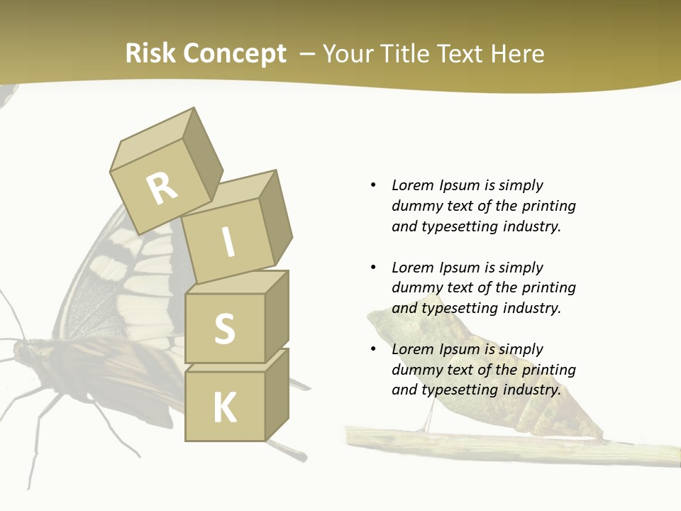 Metamorphosis (Life Cycle) Of The Swallowtail (Papilio Machaon). 3 Different Instars (Stages). PowerPoint Template