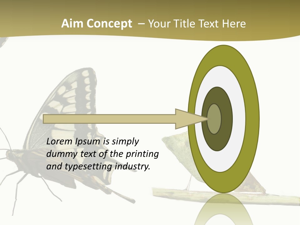 Metamorphosis (Life Cycle) Of The Swallowtail (Papilio Machaon). 3 Different Instars (Stages). PowerPoint Template