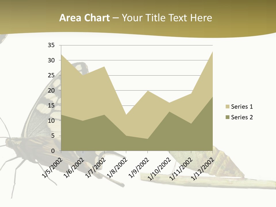 Metamorphosis (Life Cycle) Of The Swallowtail (Papilio Machaon). 3 Different Instars (Stages). PowerPoint Template