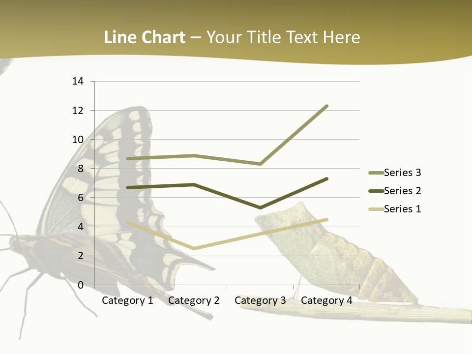 Metamorphosis (Life Cycle) Of The Swallowtail (Papilio Machaon). 3 Different Instars (Stages). PowerPoint Template
