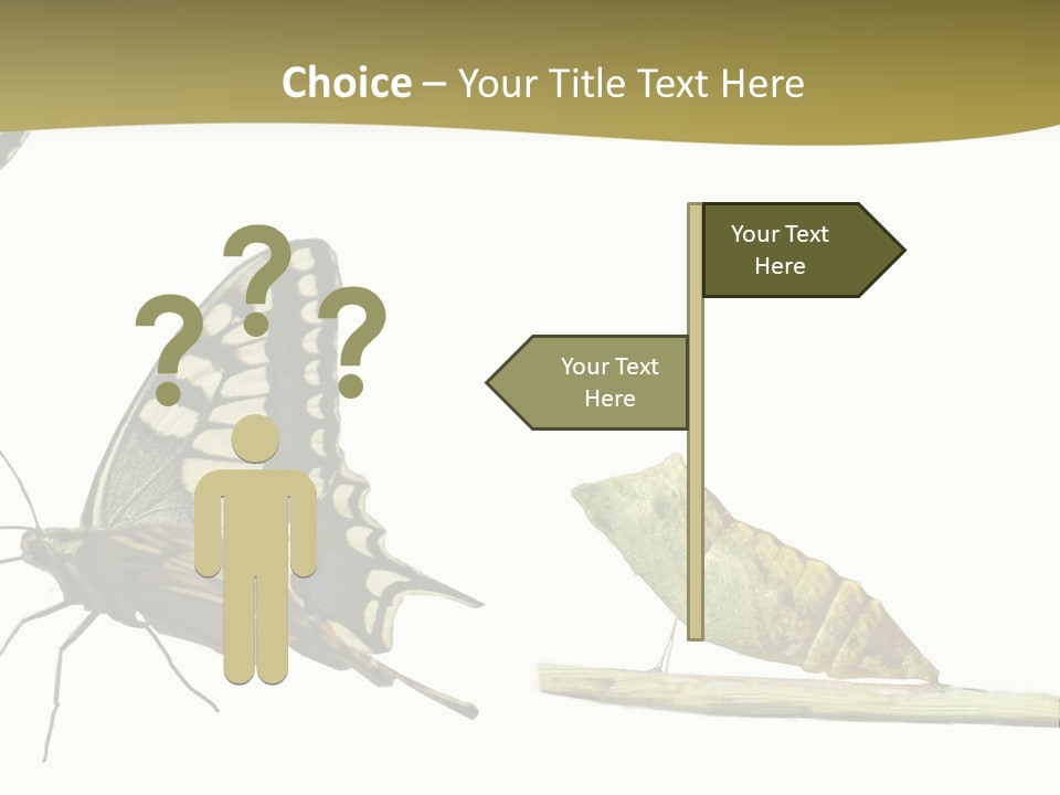 Metamorphosis (Life Cycle) Of The Swallowtail (Papilio Machaon). 3 Different Instars (Stages). PowerPoint Template