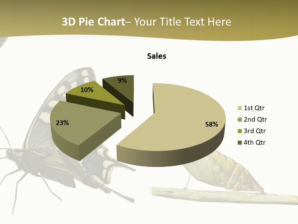 Metamorphosis (Life Cycle) Of The Swallowtail (Papilio Machaon). 3 Different Instars (Stages). PowerPoint Template
