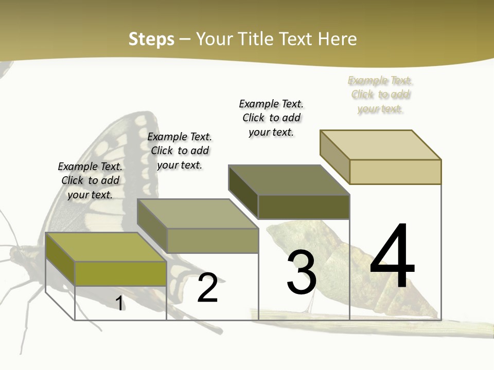 Metamorphosis (Life Cycle) Of The Swallowtail (Papilio Machaon). 3 Different Instars (Stages). PowerPoint Template