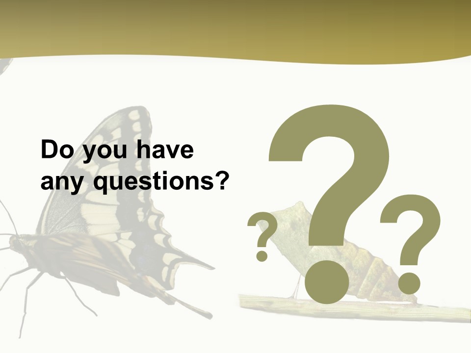 Metamorphosis (Life Cycle) Of The Swallowtail (Papilio Machaon). 3 Different Instars (Stages). PowerPoint Template