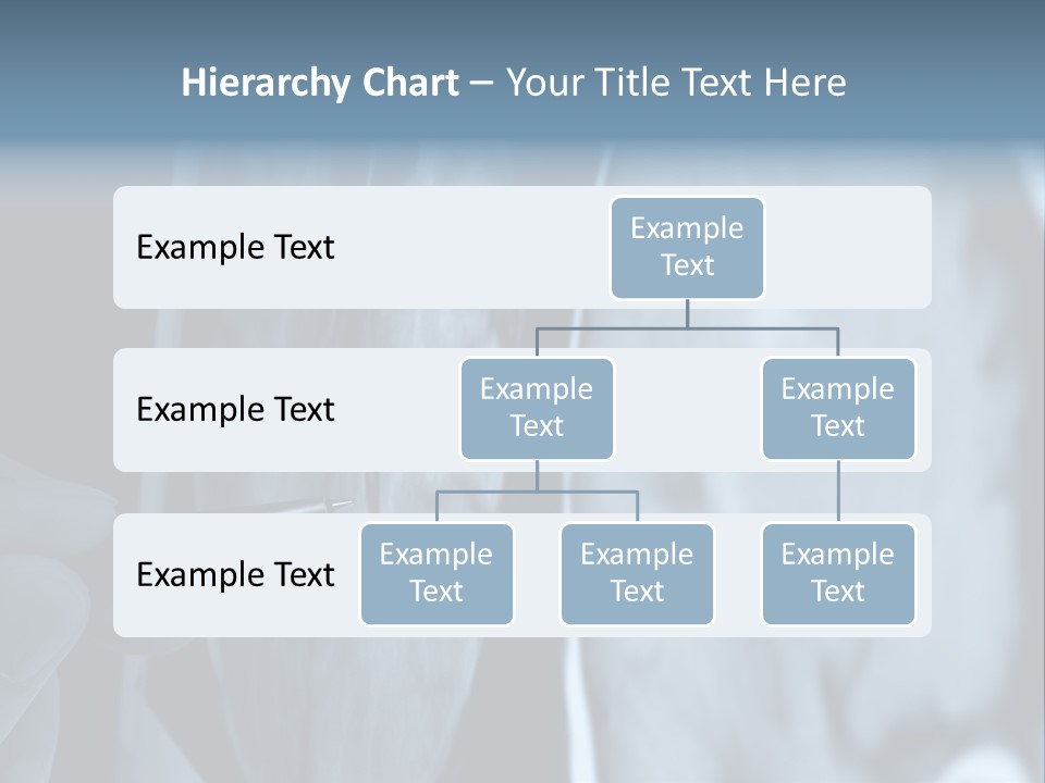 Pen Showing X-Ray Pictures Of Brain On Screen PowerPoint Template