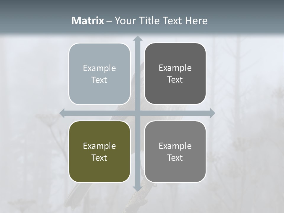 Carolina Chickadee PowerPoint Template