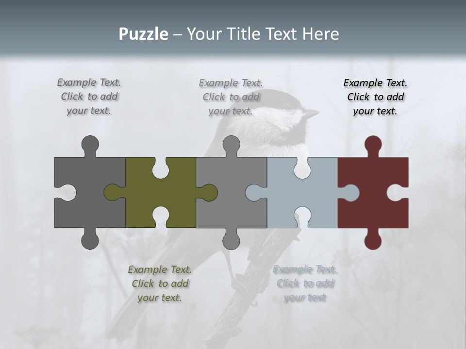 Carolina Chickadee PowerPoint Template