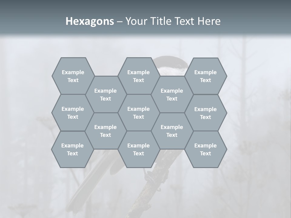 Carolina Chickadee PowerPoint Template