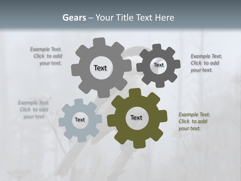 Carolina Chickadee PowerPoint Template