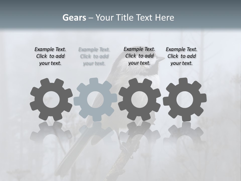 Carolina Chickadee PowerPoint Template