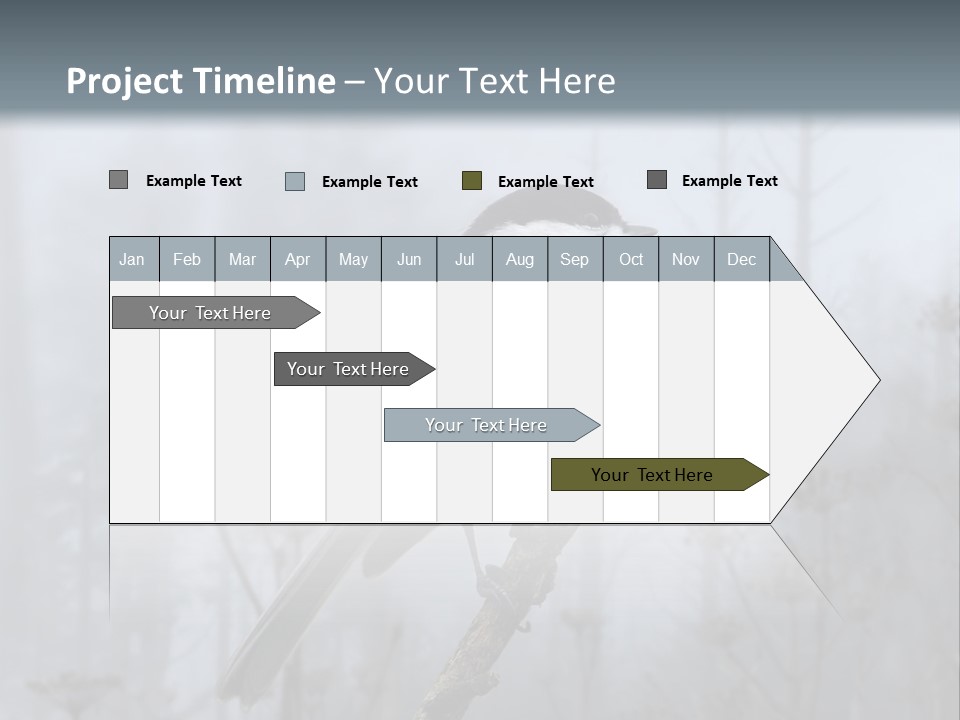 Carolina Chickadee PowerPoint Template