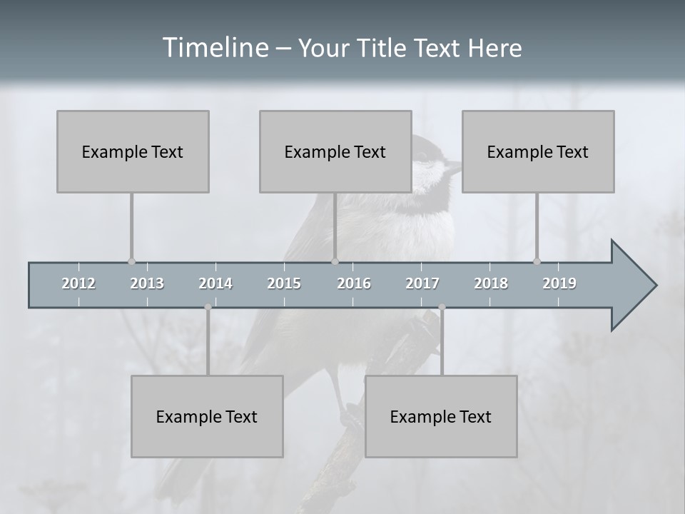 Carolina Chickadee PowerPoint Template