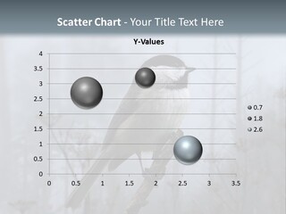 Carolina Chickadee PowerPoint Template